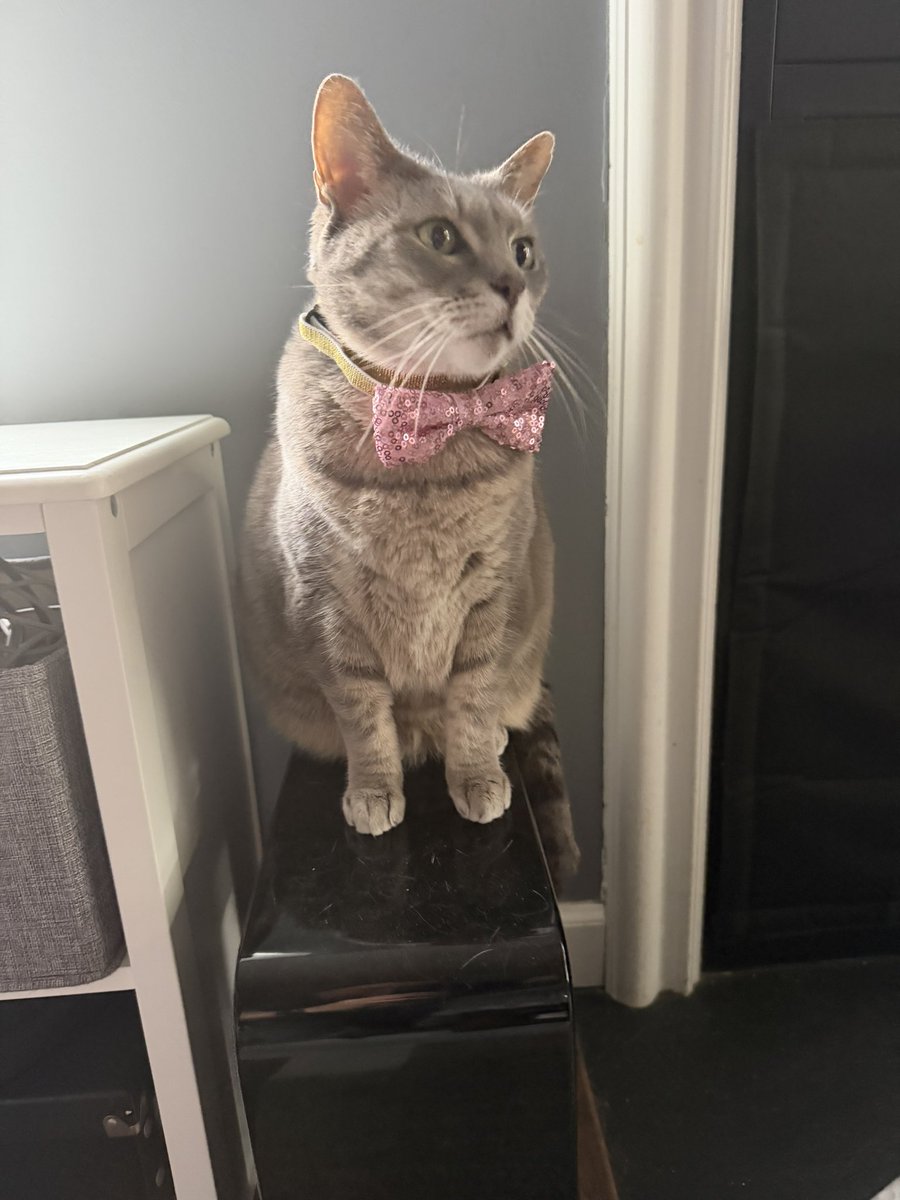 Max Evans tweet media