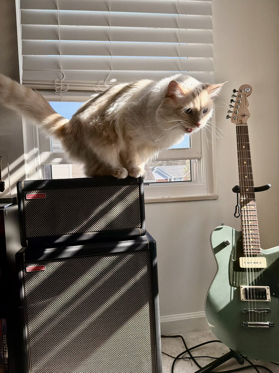 Max Evans tweet media