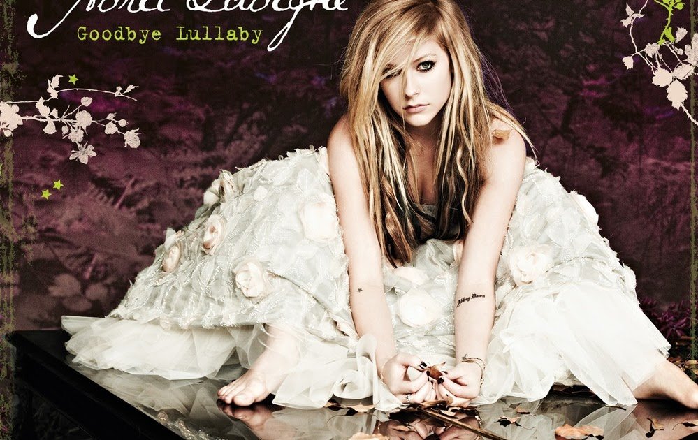 dan ✨️ tweet media