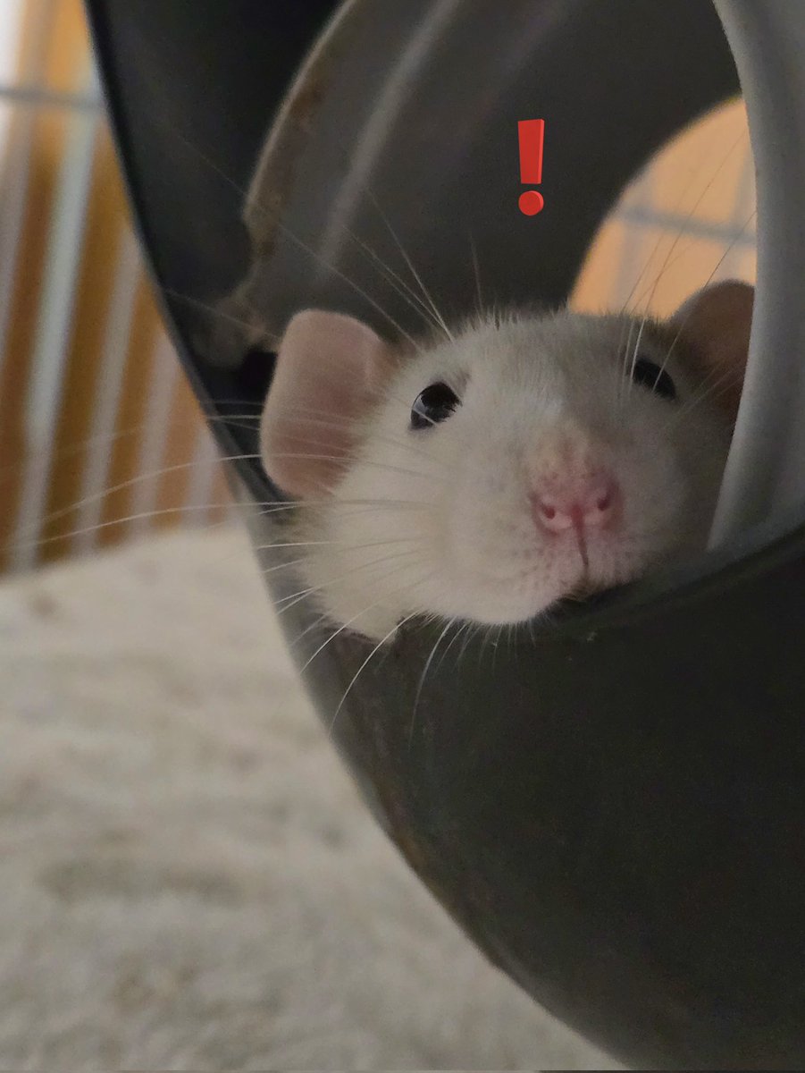 ねむい tweet media