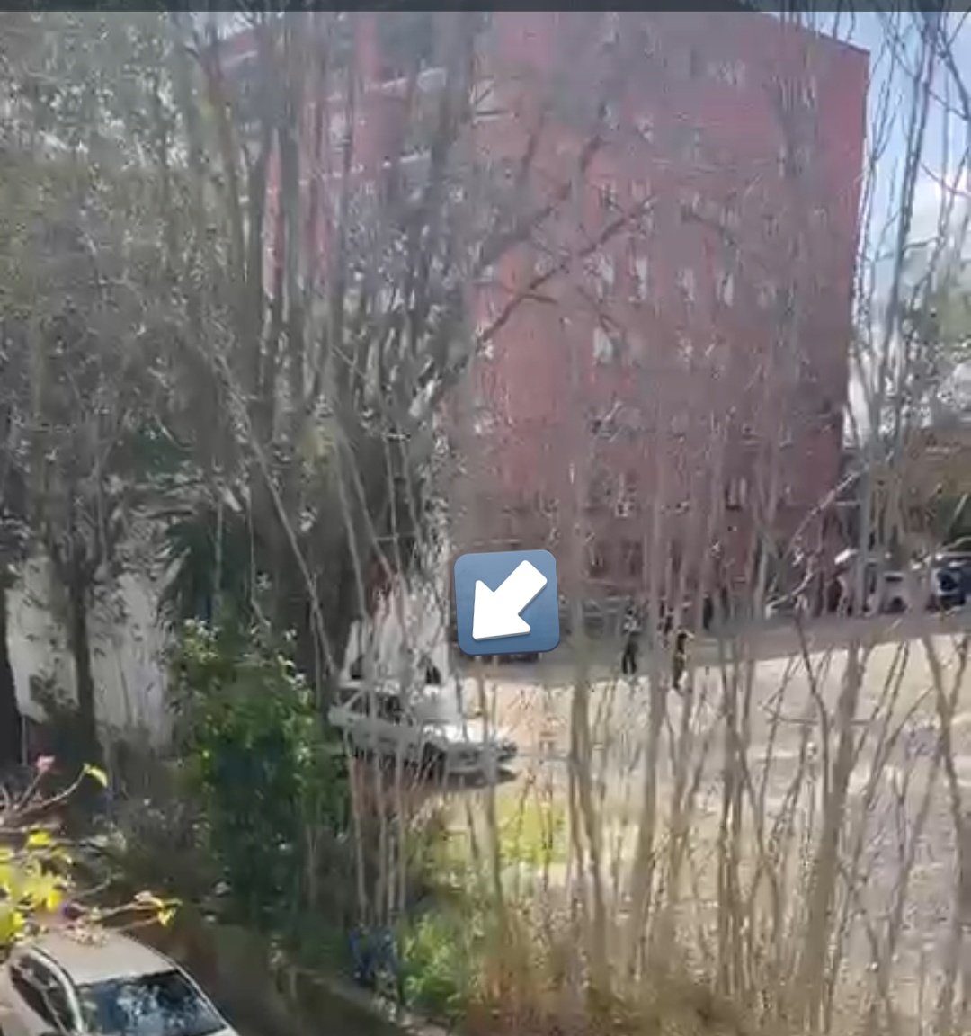 Pues ya empieza el campeonato de meadas de los Conciertos de MierdaInsólito promovidos y autorizados por:  <a href="/RafaCarmonaAND/">Rafael Carmona</a> <a href="/jlsanzalcalde/">José Luis Sanz</a> <a href="/AlvaroPimentelS/">Álvaro Pimentel Siles 🇪🇸</a> <a href="/guzmanbyrne/">Jose Guzmán Byrne</a> <a href="/JuanMa_Moreno/">Juanma Moreno</a> <a href="/Rocio_DiazJ/">Rocío Díaz Jiménez</a> <a href="/greencow_music/">GreenCow Music</a> y de aquellos que nos dijeron que estaban de acuerdo con el proyecto