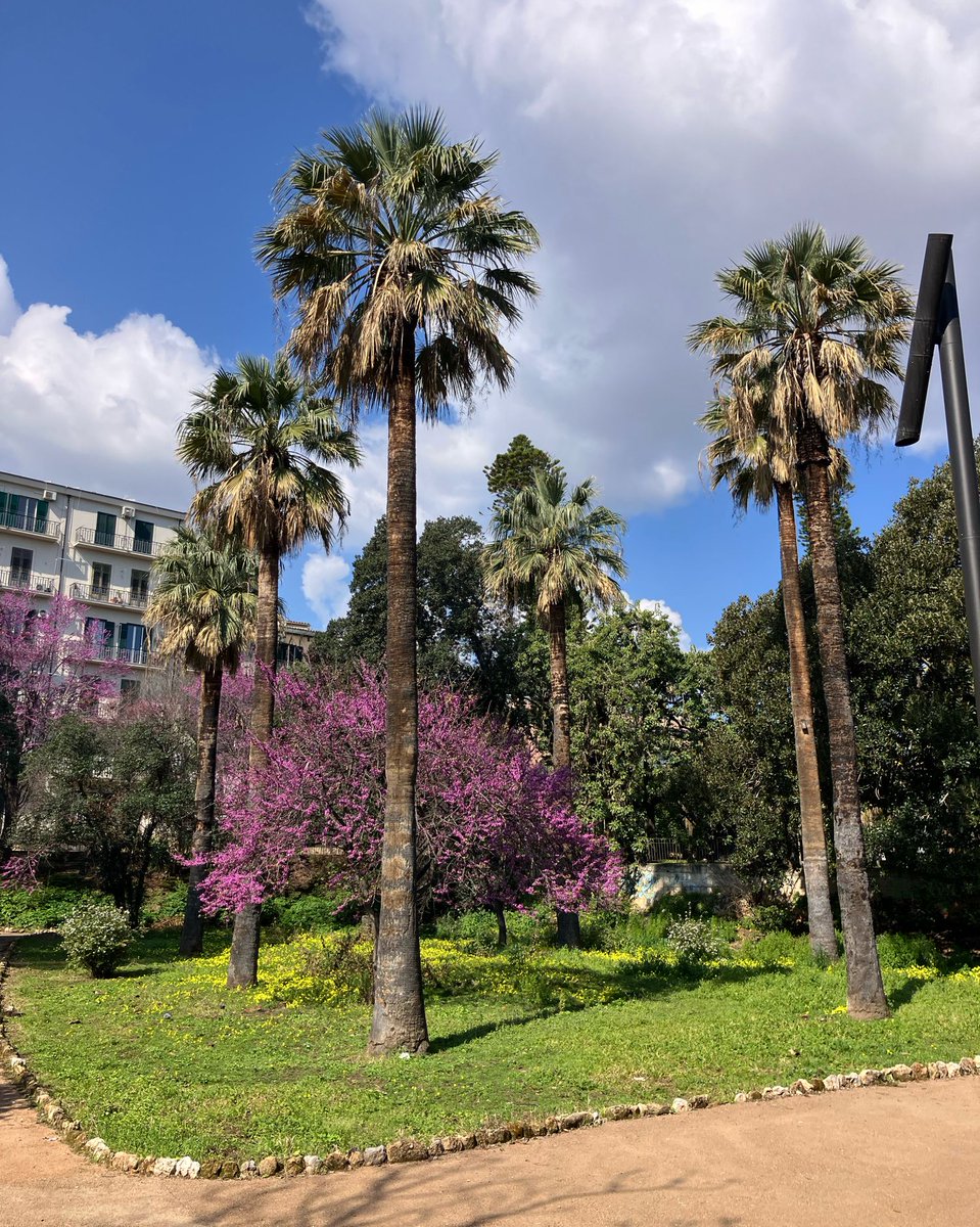 Pablo González tweet media