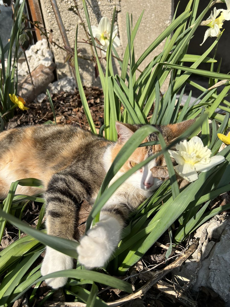 SobrietyMolestor🚩🏴 tweet media