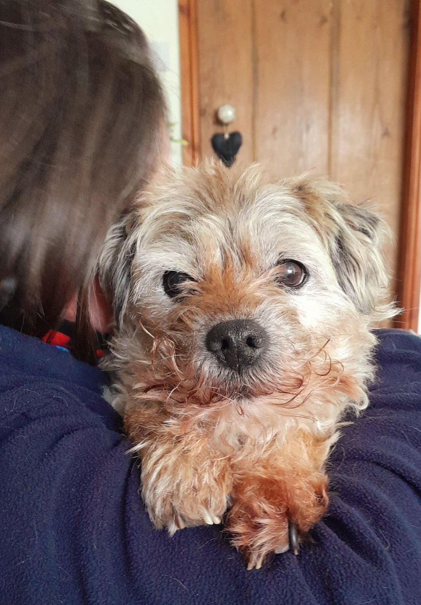 Archie OBE tweet media