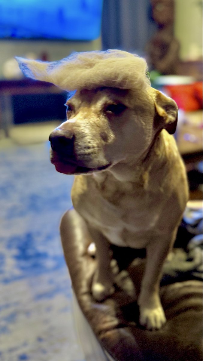 RockiRox 🌴🇺🇸 tweet media