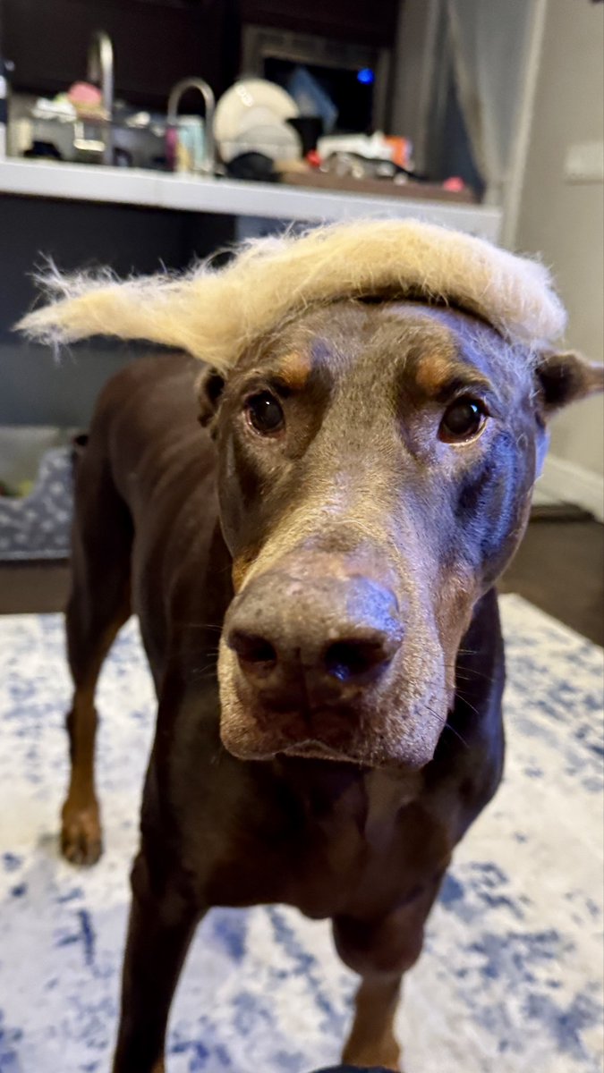 RockiRox 🌴🇺🇸 tweet media