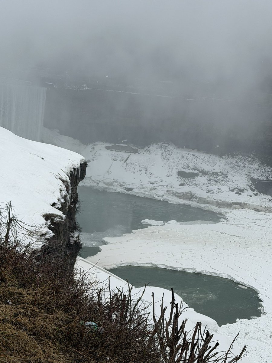 Anthony Broome tweet media