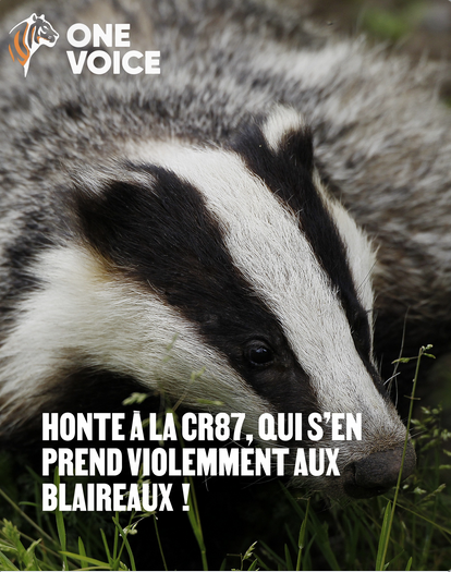 ⏚ 𝔐𝔞𝔫𝔲 Ⓥ tweet media