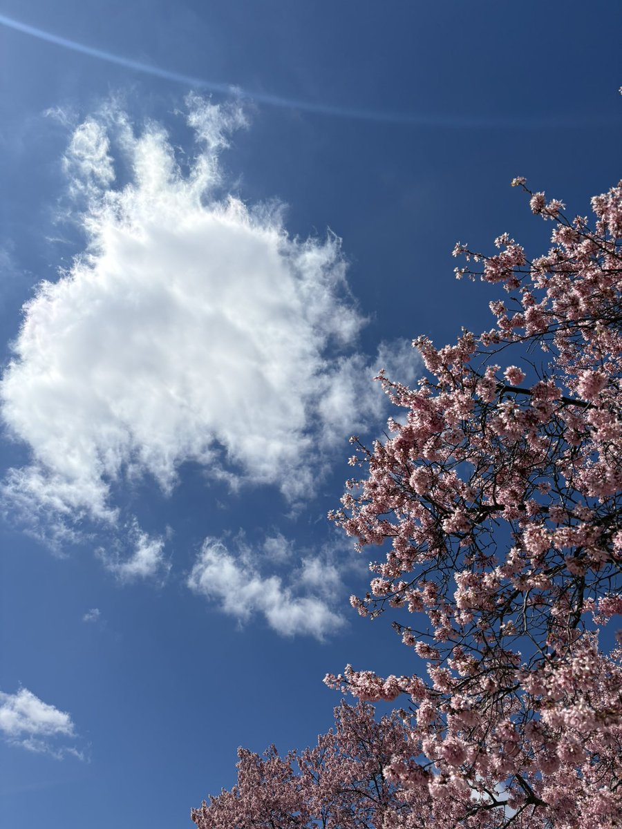 mary bartkowski tweet media