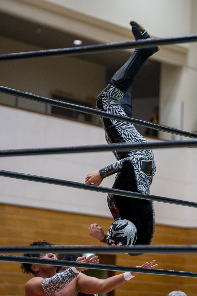 yap12_brah_mpro's tweet photo. 2026.03.21. みちのく 矢巾
動きキレキレでしたね
#みちのくプロレス
#エル・パンテーラJr
#ElPanteraJr https://t.co/QkhG0Opy4B
