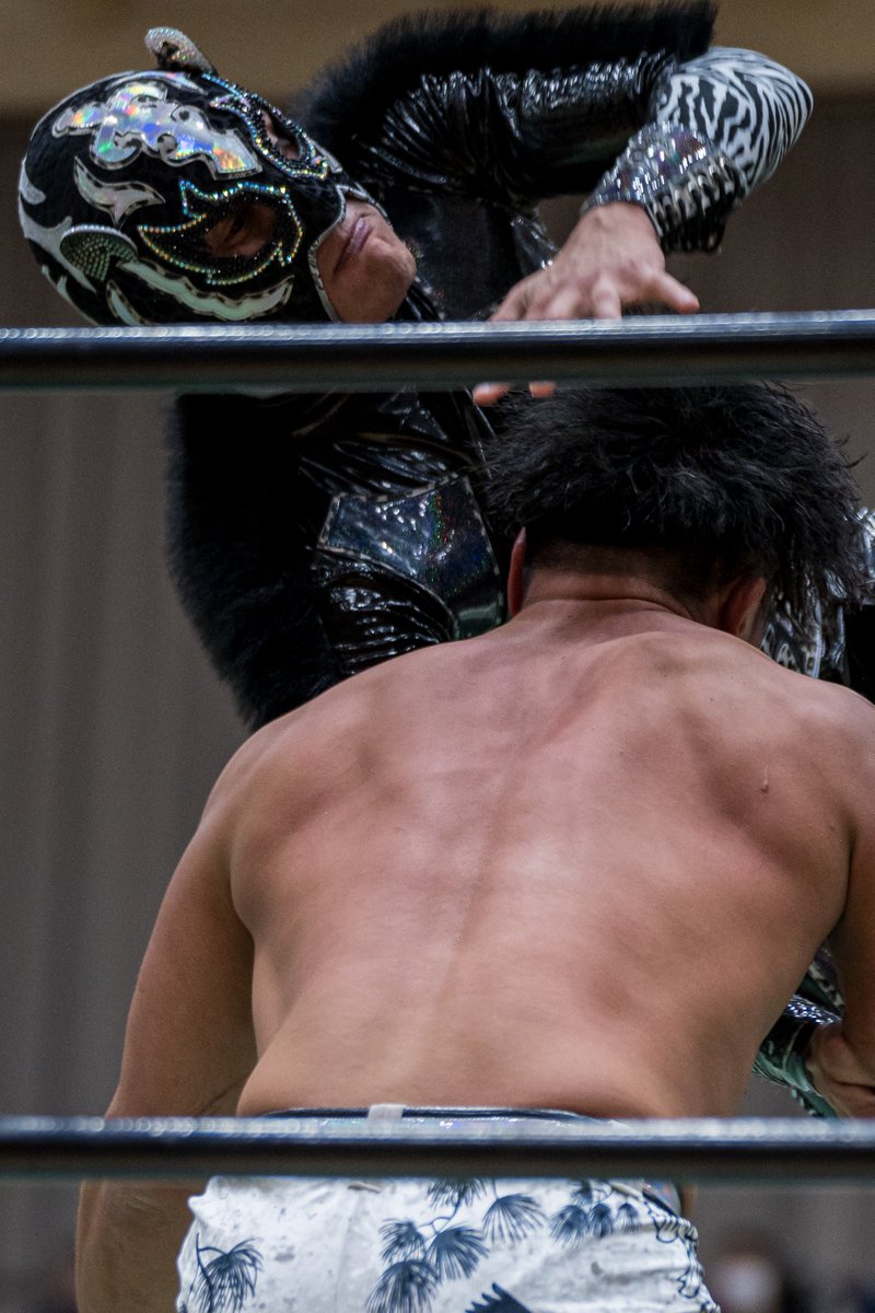 yap12_brah_mpro's tweet photo. 2026.03.21. みちのく 矢巾
動きキレキレでしたね
#みちのくプロレス
#エル・パンテーラJr
#ElPanteraJr https://t.co/QkhG0Opy4B