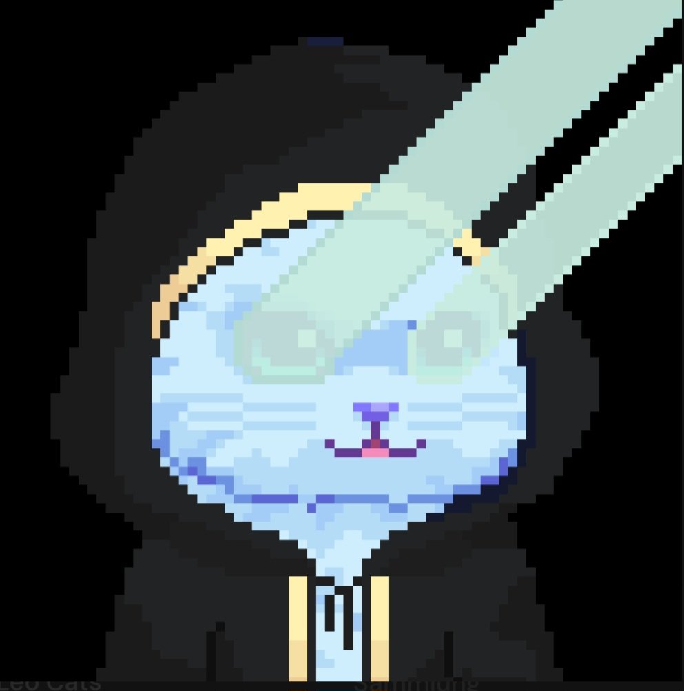 thommy.btc 🟧 tweet media