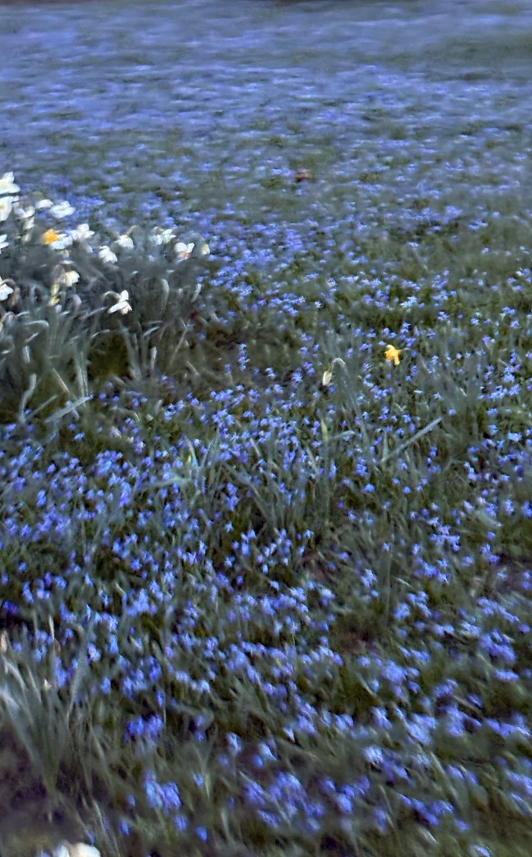 Jini Jane tweet media