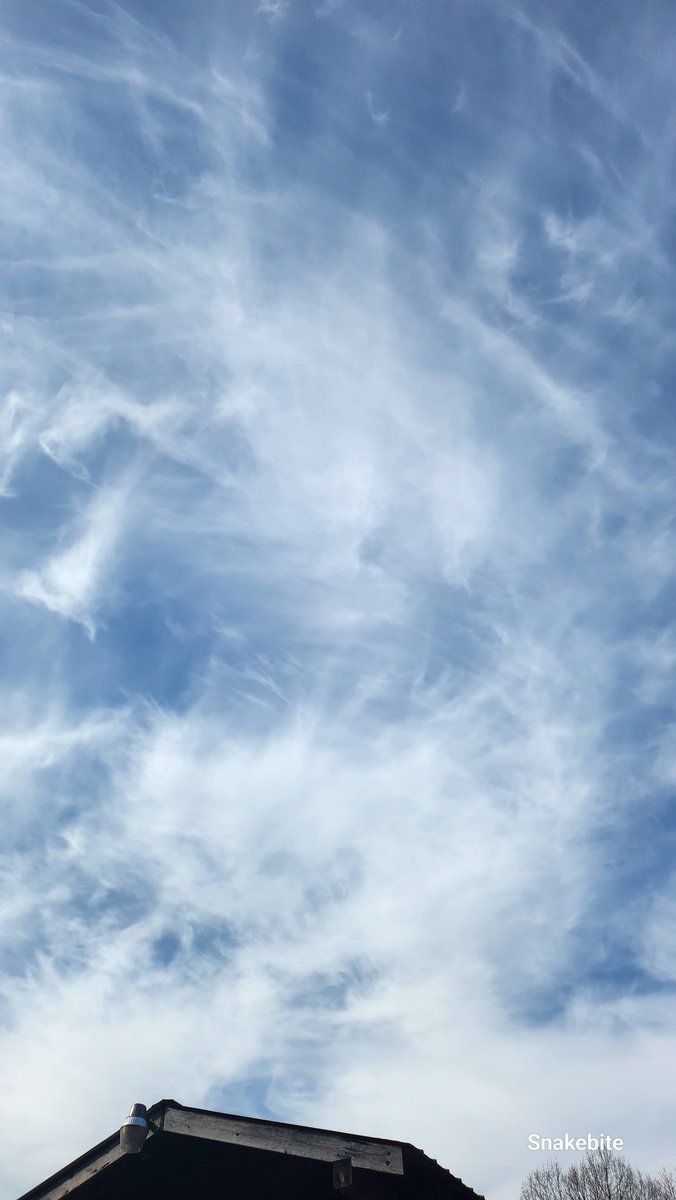 NHoffman87616's tweet image. WV Sunblocked. 10:30 3/21  #stratosphericaerosolinjection #solarradiationmanagement
@DELTA9_DELTA9 @IonisedSkyWatch @nogps1 @OGSpringtucky @GeeGrenz @dougmastriano @RepThomasMassie @kilkelly @GeoWatchGallery @nogps1 @jesseRoss597206 @NICKBAZINE58571 @BGatesIsaPyscho 
#5G #6G 📡☠️