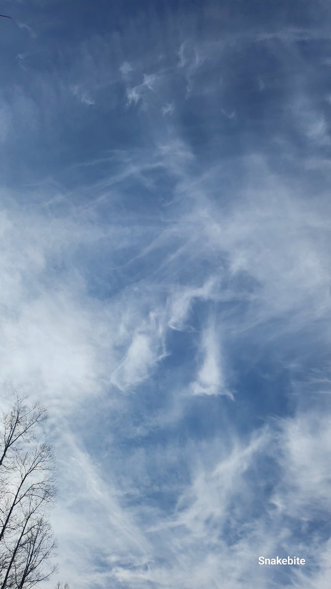 NHoffman87616's tweet image. WV Sunblocked. 10:30 3/21  #stratosphericaerosolinjection #solarradiationmanagement
@DELTA9_DELTA9 @IonisedSkyWatch @nogps1 @OGSpringtucky @GeeGrenz @dougmastriano @RepThomasMassie @kilkelly @GeoWatchGallery @nogps1 @jesseRoss597206 @NICKBAZINE58571 @BGatesIsaPyscho 
#5G #6G 📡☠️