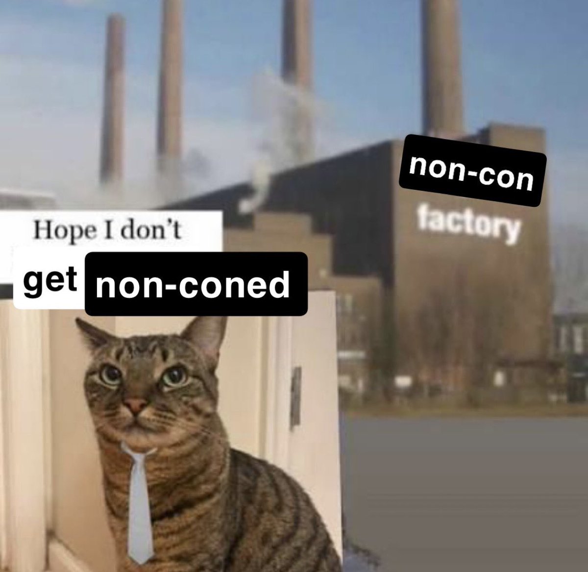 ๐๐ช๐ฉ๐ฉ๐ค๐ฃ ๐๐จ ๐ฝ๐๐๐ ๐ค๐ฃ ๐ฉ๐๐ ๐๐๐ฃ๐ช~๐ tweet media