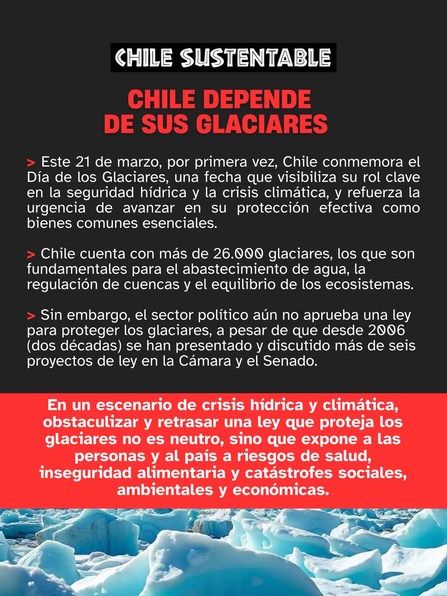 ONG Chile Sustentable 🌎 tweet media