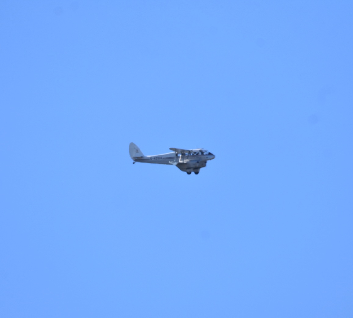 Peter Naylor tweet media