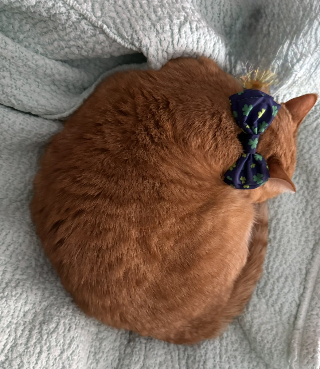 Lilmissfergus tweet media