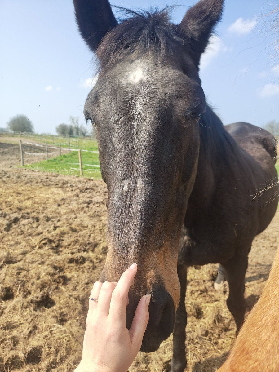 Mandelkernchen tweet media