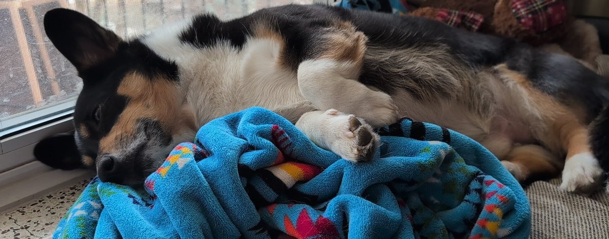 joseph.pixler tweet media