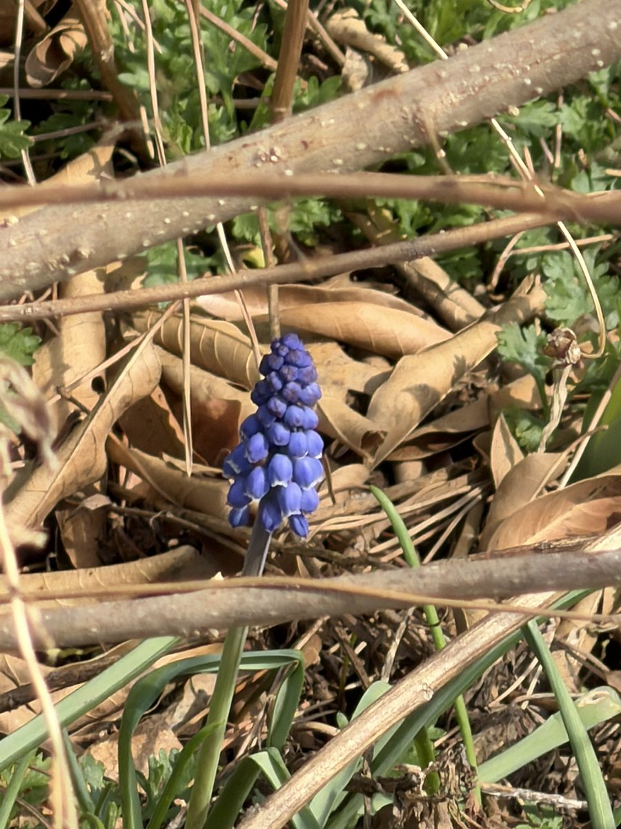 mary bartkowski tweet media