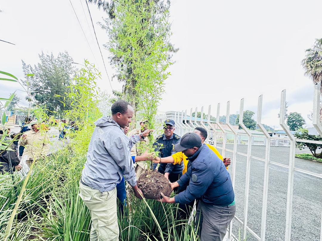 MusanzeYouth's tweet photo. 3/6. Ibikorwa byakozwe harimo gutera imigano, Imikindo n'ibiti bya sipure ndetse hakorwa n'isuku ku rwibutso rw'akarere. Ibikorwa byo gukora Isuku byakozwe ku rwibutso rwa Busogo ndetse no ku Mugezi wa Mukungwa ahiciwe Abatutsi mu gihe cya Jenoside yakorewe Abatutsi 1994. https://t.co/0LTeyTKfvt