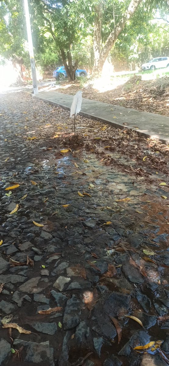 Guillermo Verdún Ortiz tweet media