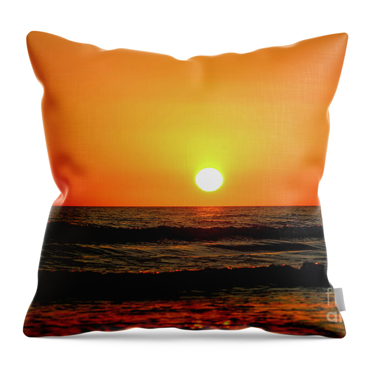 Joanne Carey Photography tweet media