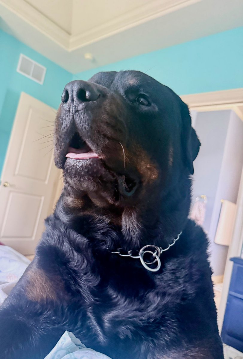 Julie Carpenter tweet media