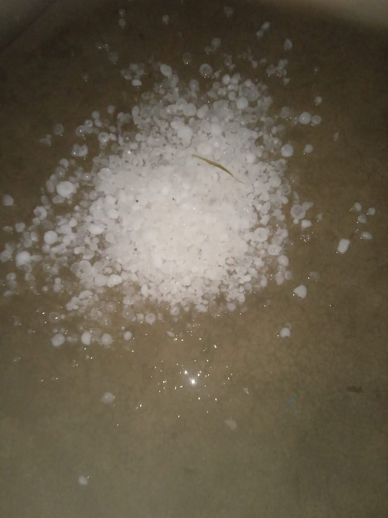 kashi ram Lodhi tweet media