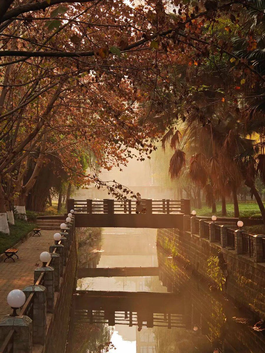 Megan Dierks tweet media