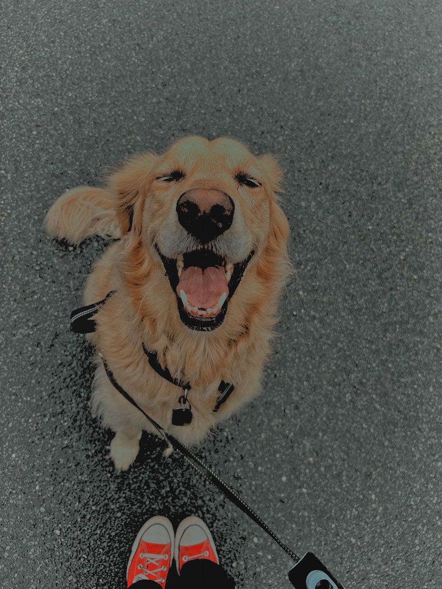 ‎،̲ ࣪˖ 𝓵𝐨𝐭𝐭𝐢𝐞 .ᐟ ‧₊˚ tweet media