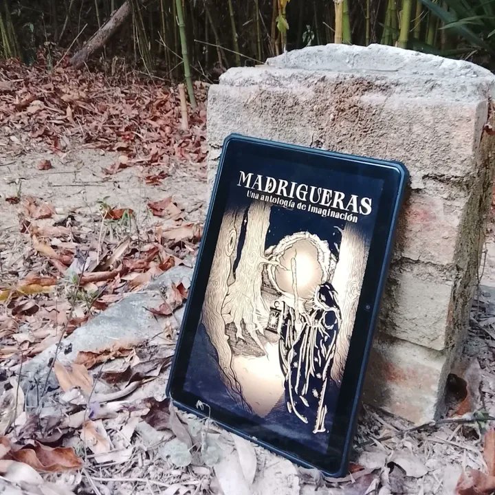 Entretierras Editorial tweet media