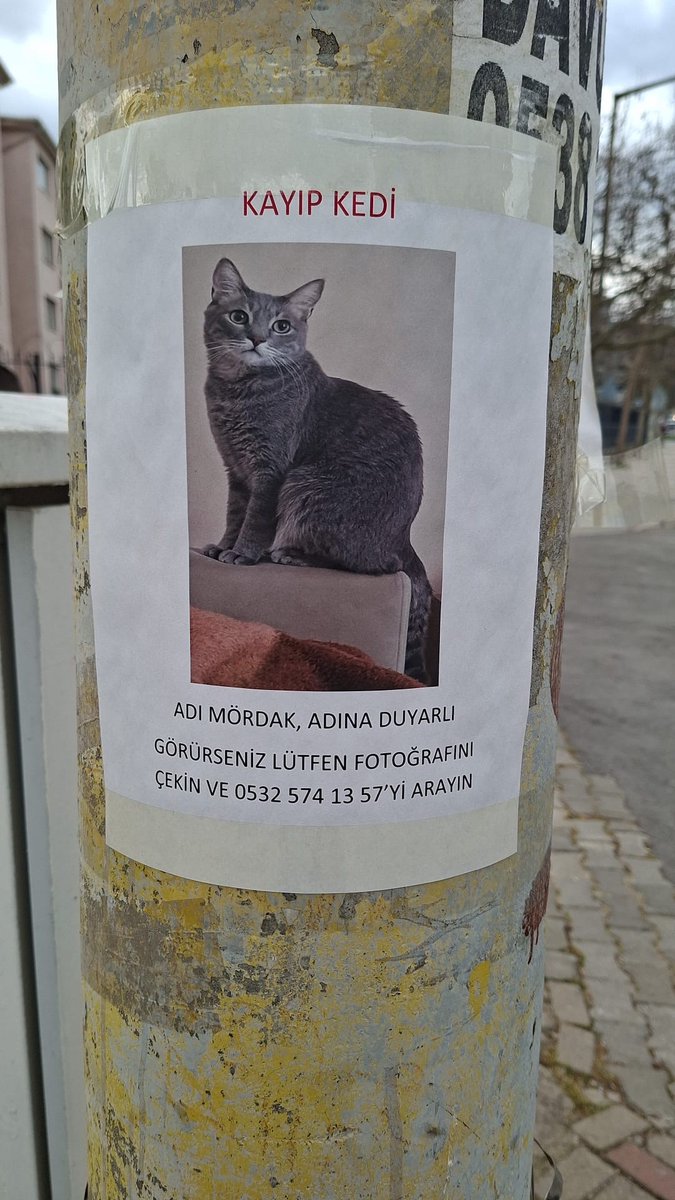 Bu ilan İzmir Gaziemir’de.