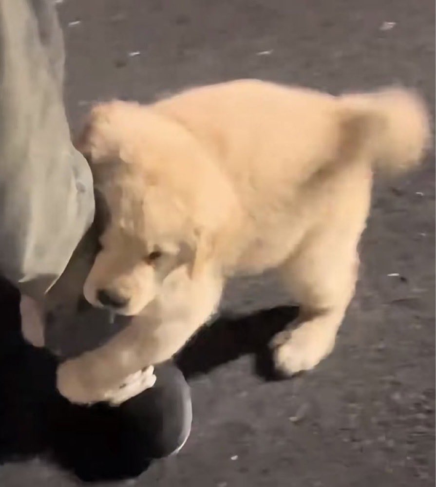 ด้วงกับเธอ | Duang With You Series tweet media