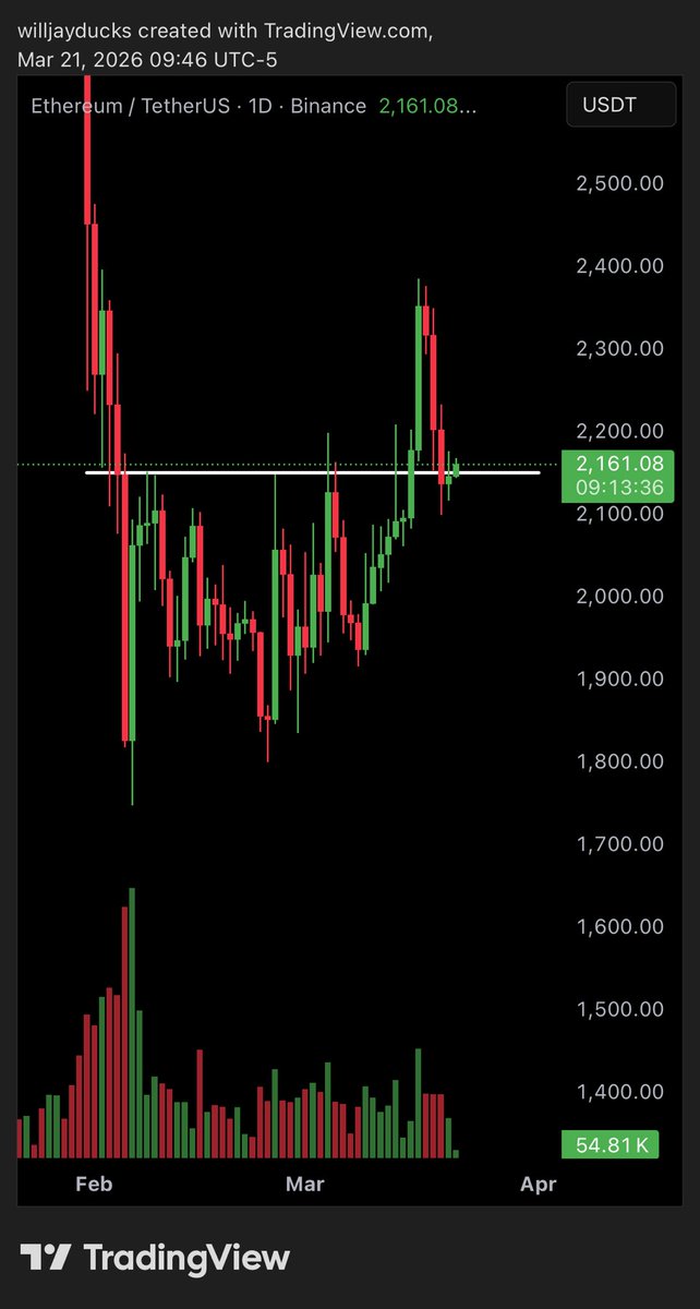 Willjayducks tweet media