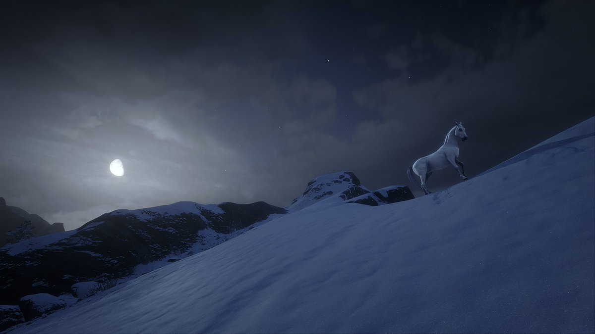 Annie 🌸 tweet media