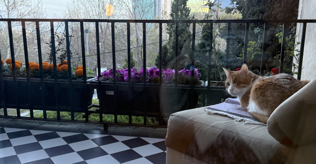 fujisama tweet media