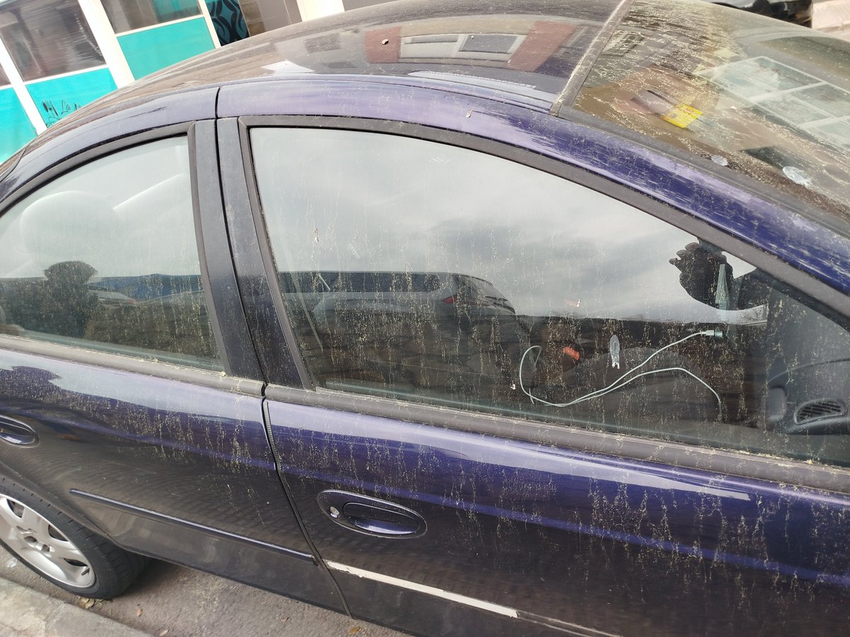 Toni Ramon Pérez tweet media