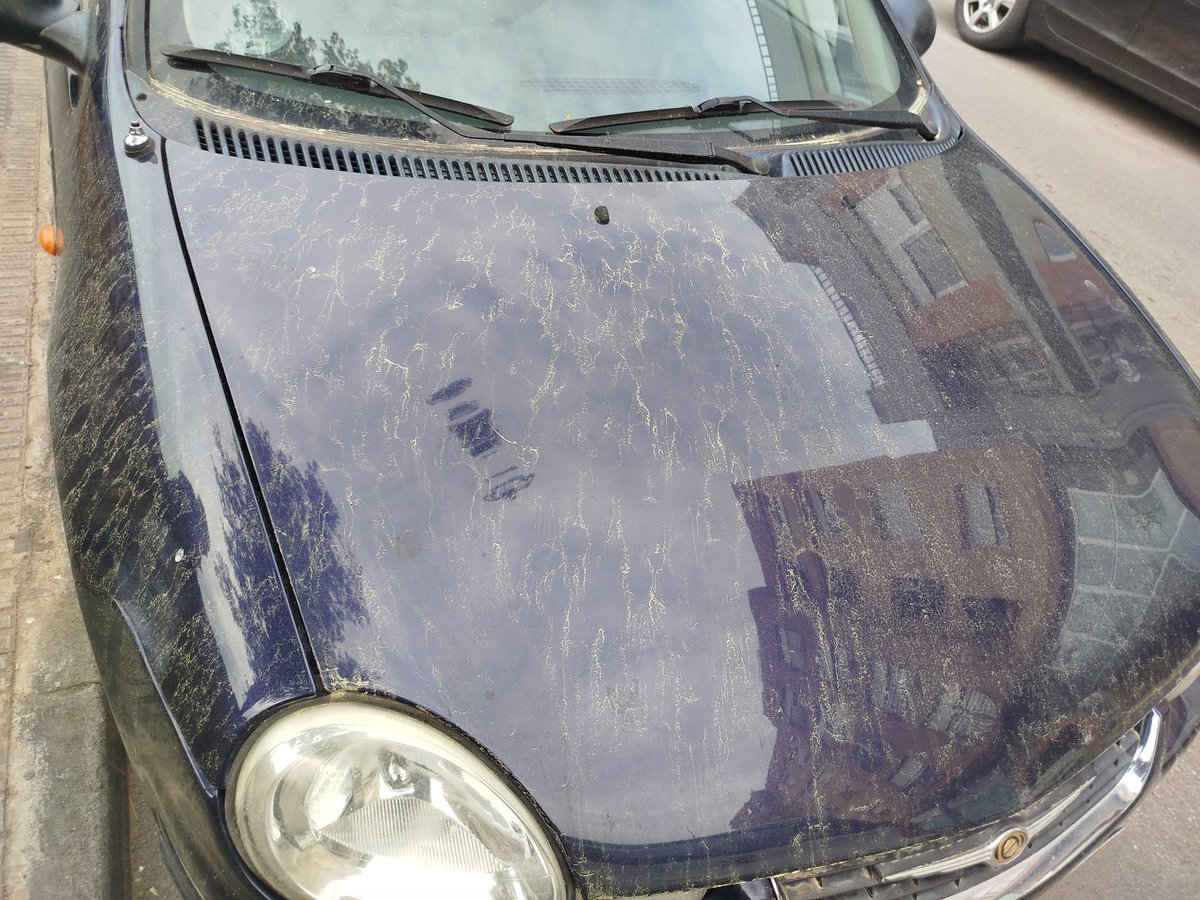 Toni Ramon Pérez tweet media