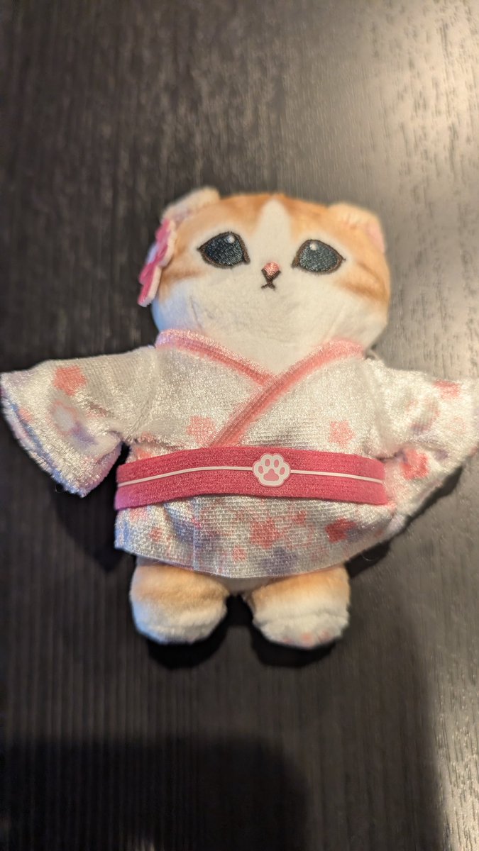 加藤トラベル/YouTube tweet media