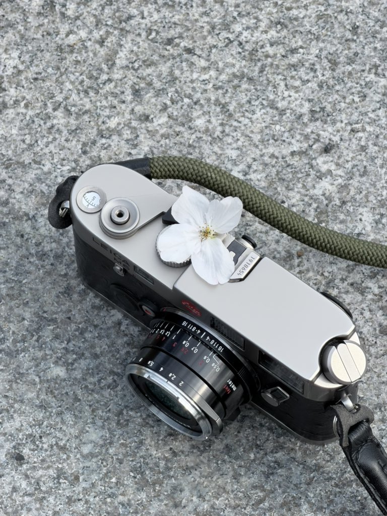 みぞれのオーボエ tweet media