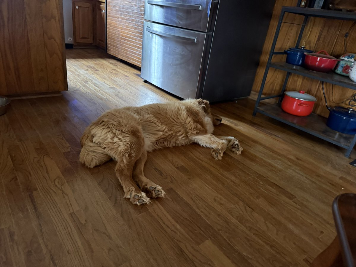 SamBuddyAngelTank andHoss tweet media