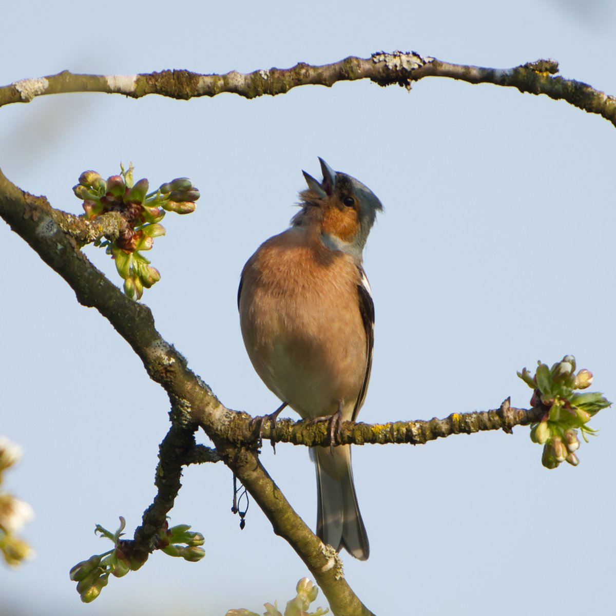 Mathias 🕊 🦋 tweet media