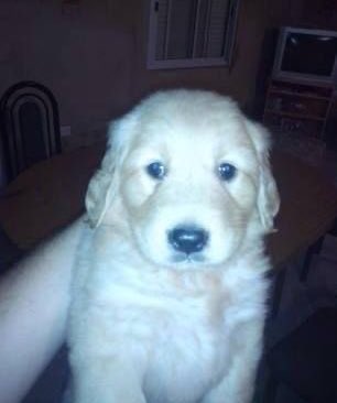 mirrorball666 tweet media