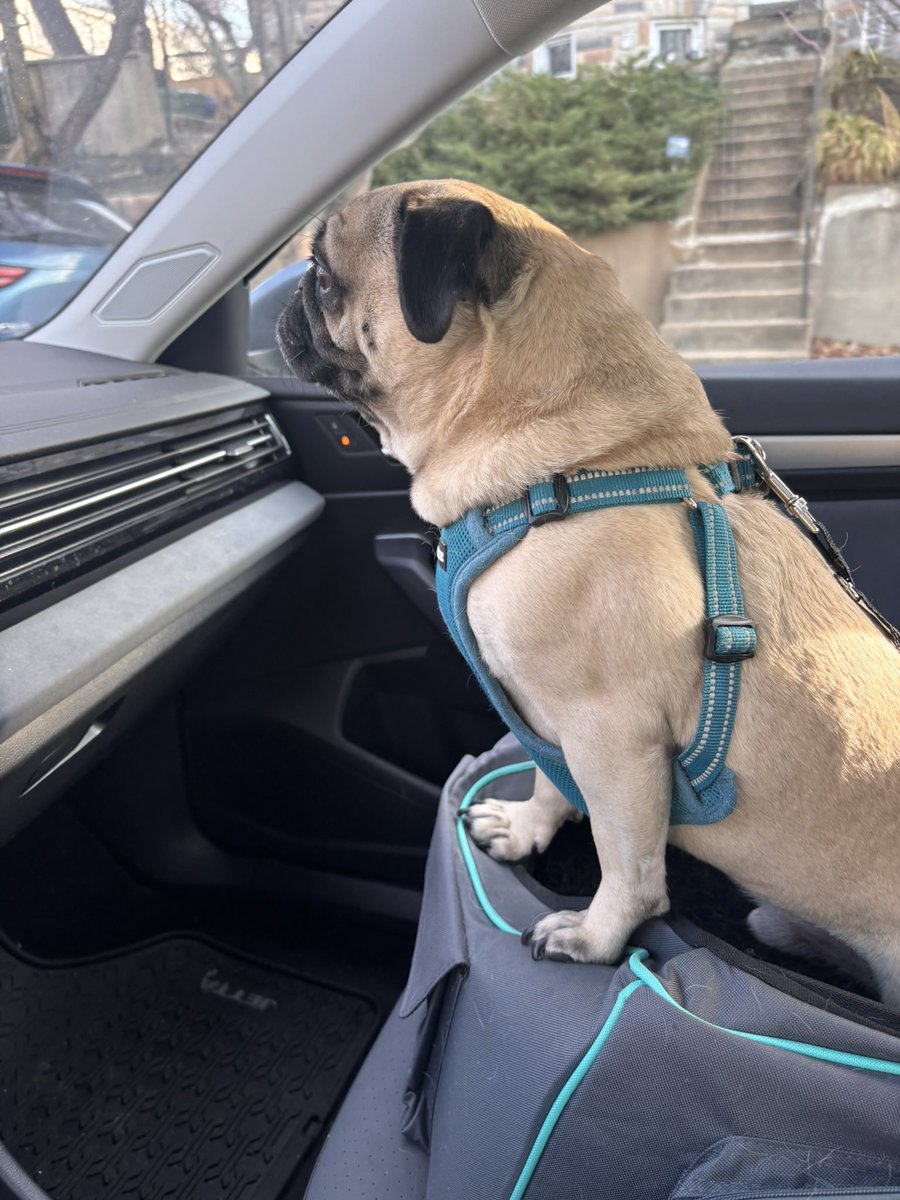 Lester Freamon tweet media