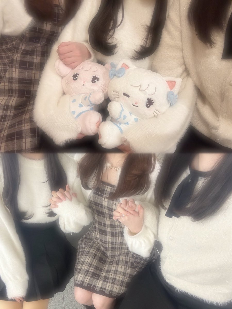 うさぎ tweet media