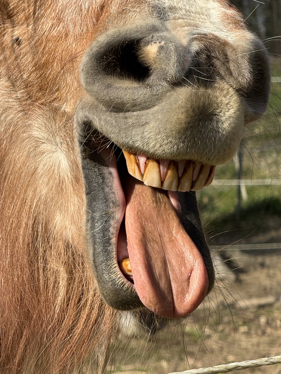 Peter R. Müller tweet media