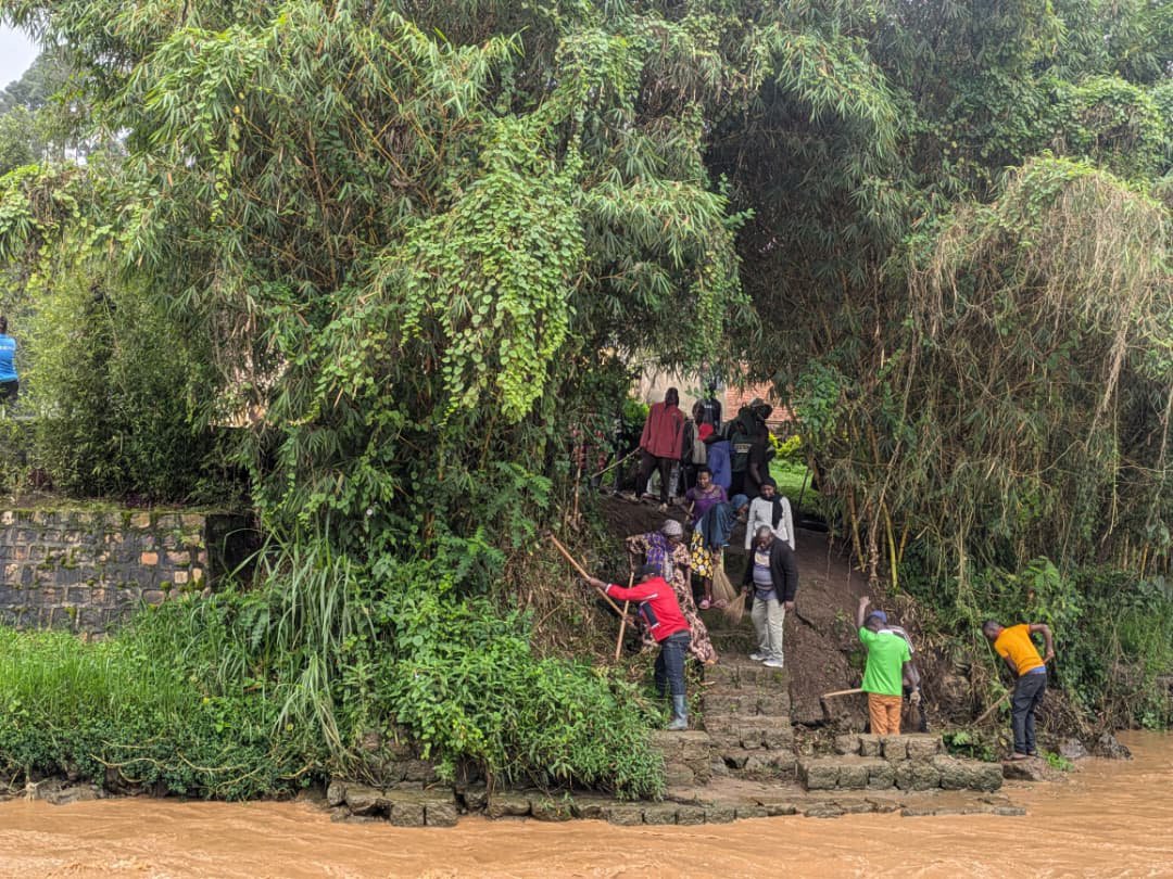 MusanzeYouth's tweet photo. 3/6. Ibikorwa byakozwe harimo gutera imigano, Imikindo n'ibiti bya sipure ndetse hakorwa n'isuku ku rwibutso rw'akarere. Ibikorwa byo gukora Isuku byakozwe ku rwibutso rwa Busogo ndetse no ku Mugezi wa Mukungwa ahiciwe Abatutsi mu gihe cya Jenoside yakorewe Abatutsi 1994. https://t.co/0LTeyTKfvt